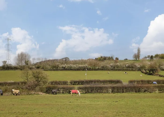 Honeysuckle Hut, Myrtle Farm Prázdninový dům Bristol